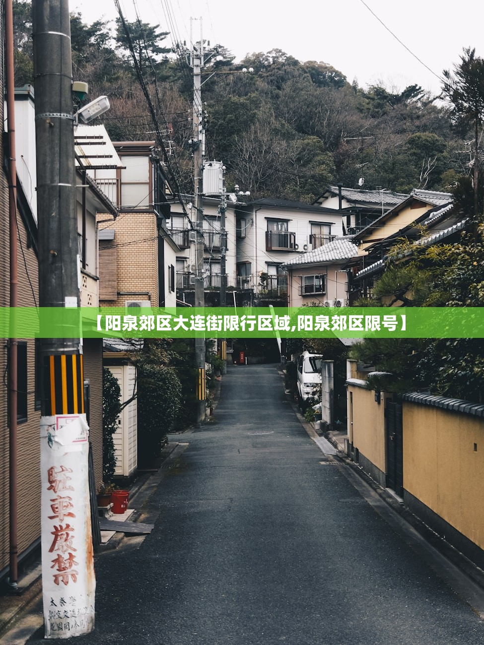 上海各地新增疫情›上海本地新增新冠肺炎