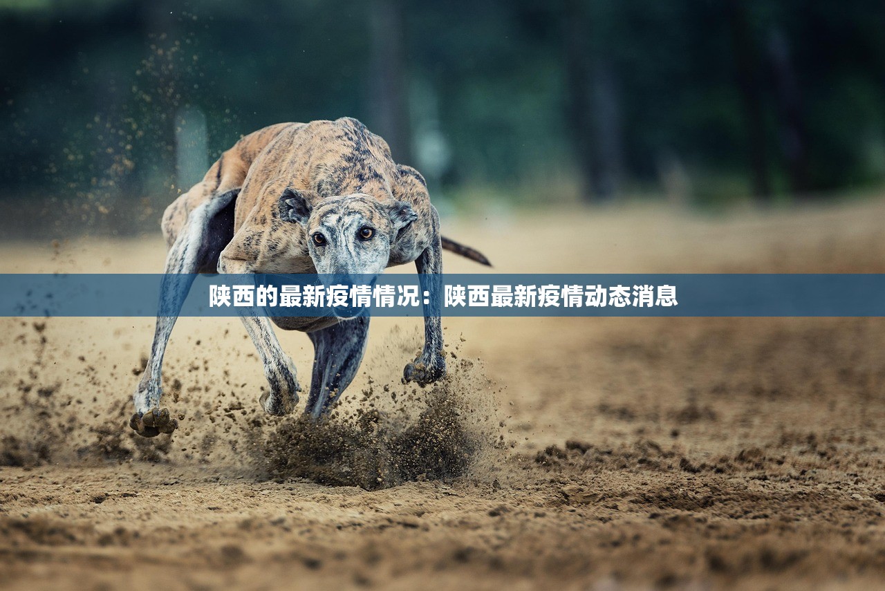 【疫情新增谎报,新冠疫情谎报】 【疫情新增谎报,新冠疫情谎报】