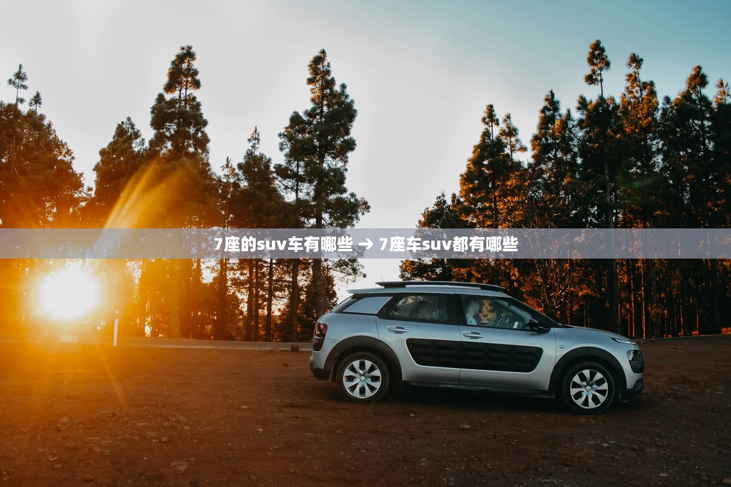 7座的suv车有哪些 → 7座车suv都有哪些
