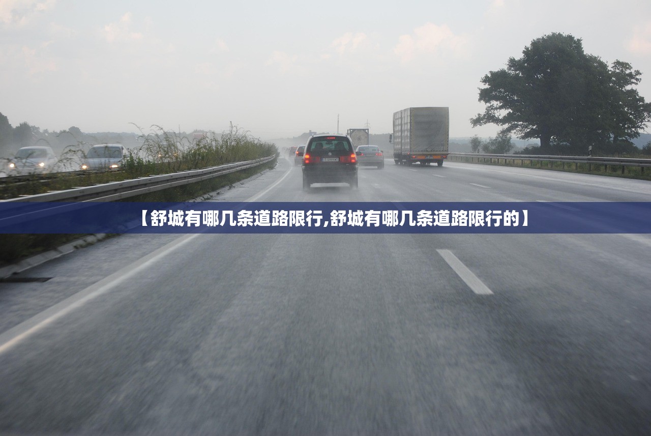 【舒城有哪几条道路限行,舒城有哪几条道路限行的】