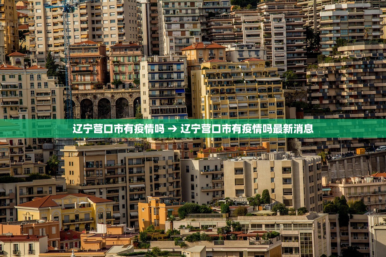 上海公布2例本地病例轨迹›上海2名本土确诊