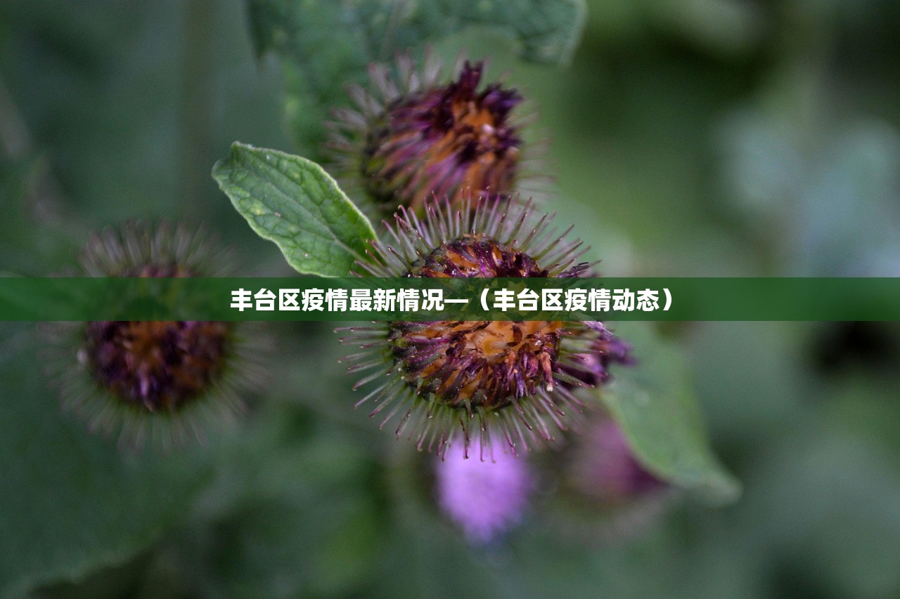 【2022韵达快递停运最新消息,2022韵达快递停运最新消息通知】