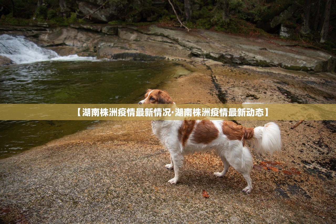 神木疫情最新消息—(神木疫情最新消息今天) 神木疫情最新消息—(神木疫情最新消息今天)