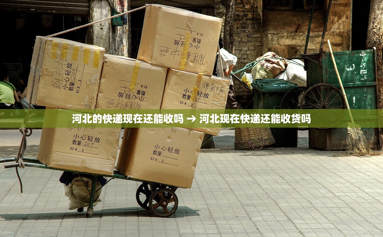 启东市金珠巷限行：启东市金珠巷限行路段