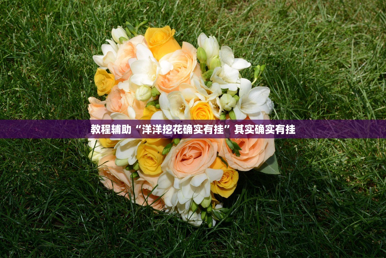 教程辅助“洋洋挖花确实有挂	”其实确实有挂