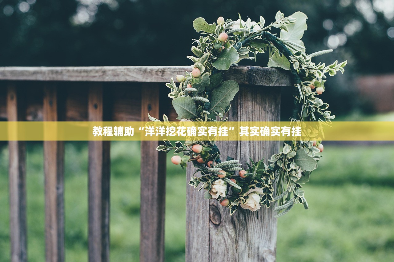 教程辅助“洋洋挖花确实有挂	”其实确实有挂