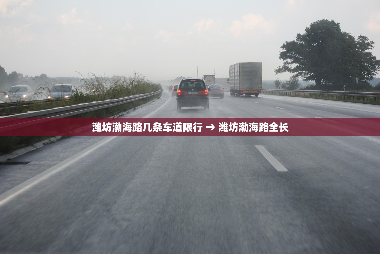 推荐一款“山东369麻将作怎么弊器下载”(透视挂)辅助透视教程