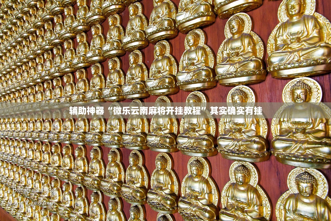 辅助神器“微乐云南麻将开挂教程	”其实确实有挂
