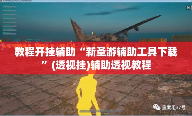 教程开挂辅助“新圣游辅助工具下载”(透视挂)辅助透视教程
