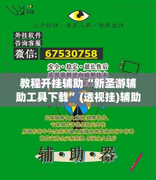 教程开挂辅助“新圣游辅助工具下载”(透视挂)辅助透视教程
