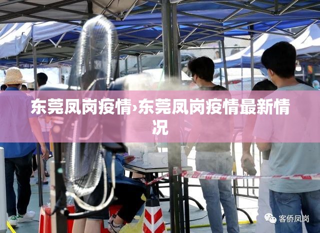 东莞凤岗疫情›东莞凤岗疫情最新情况 东莞凤岗疫情›东莞凤岗疫情最新情况