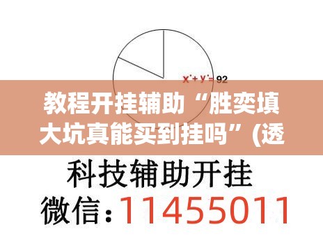 教程开挂辅助“胜奕填大坑真能买到挂吗”(透视挂)辅助透视教程