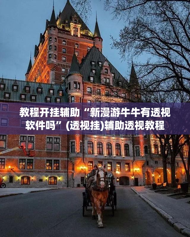 教程开挂辅助“新漫游牛牛有透视软件吗	”(透视挂)辅助透视教程