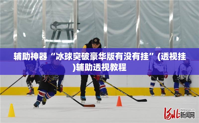 辅助神器“冰球突破豪华版有没有挂”(透视挂)辅助透视教程