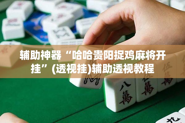 推荐一款“家乡大贰有开挂透视吗”(透视挂)辅助透视教程