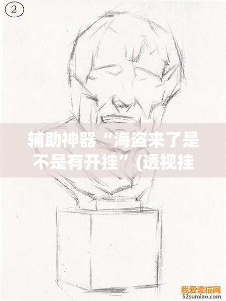 辅助神器“海盗来了是不是有开挂”(透视挂)辅助透视教程