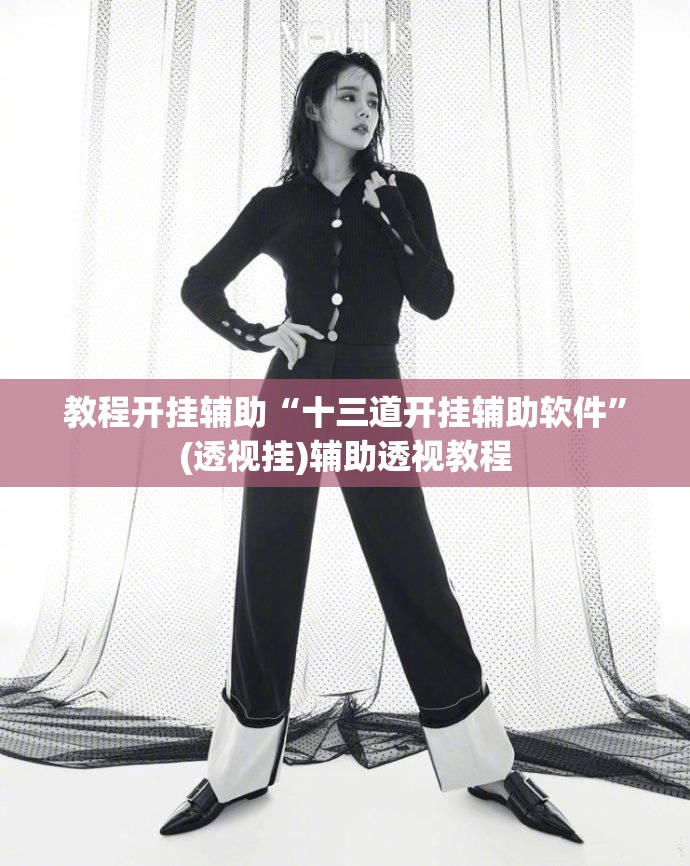教程开挂辅助“十三道开挂辅助软件”(透视挂)辅助透视教程