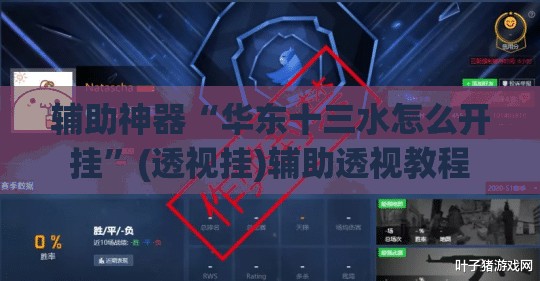 辅助神器“华东十三水怎么开挂	”(透视挂)辅助透视教程