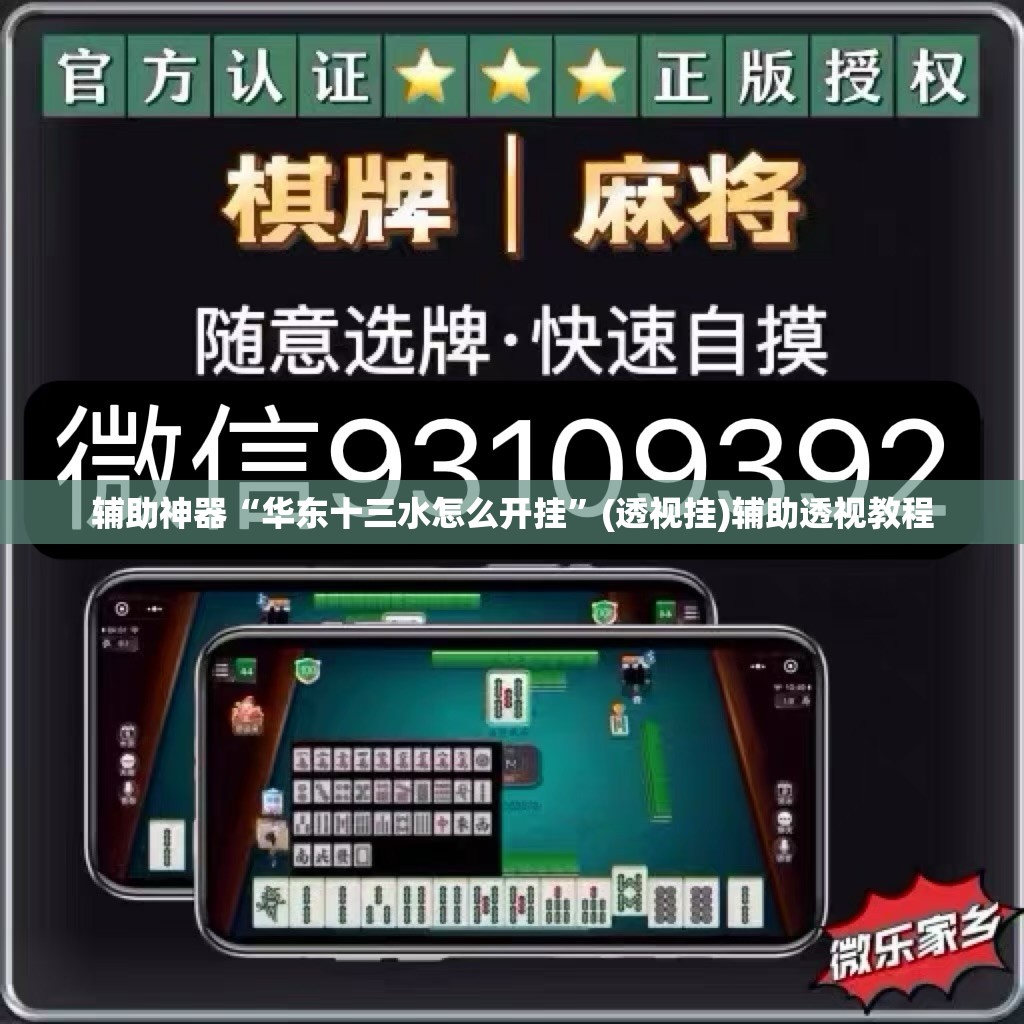 辅助神器“华东十三水怎么开挂”(透视挂)辅助透视教程
