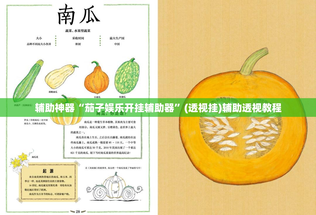 推荐一款“微乐安徽麻将开挂教程”(透视挂)辅助透视教程