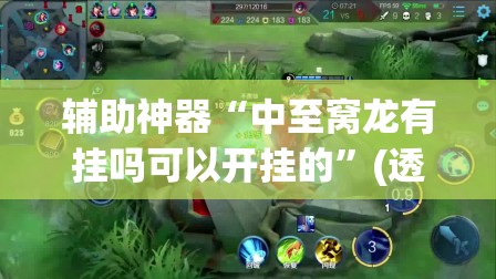 辅助神器“中至窝龙有挂吗可以开挂的”(透视挂)辅助透视教程