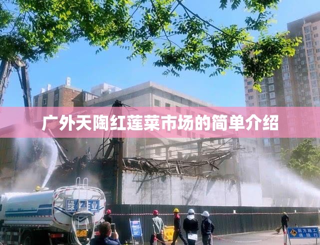 广外天陶红莲菜市场的简单介绍