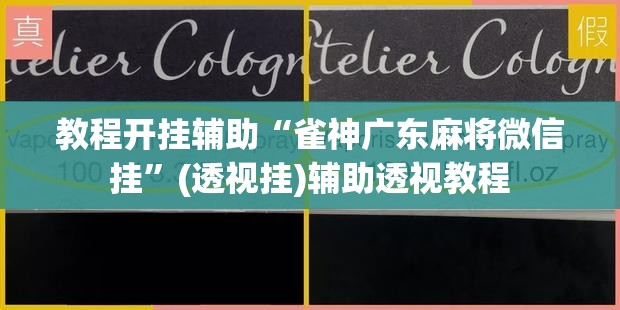 教程开挂辅助“雀神广东麻将微信挂”(透视挂)辅助透视教程