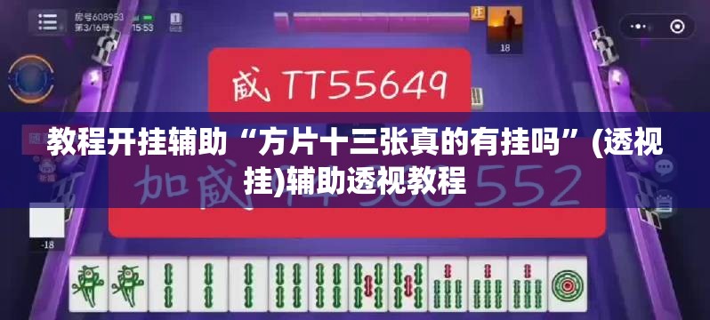 教程开挂辅助“方片十三张真的有挂吗”(透视挂)辅助透视教程