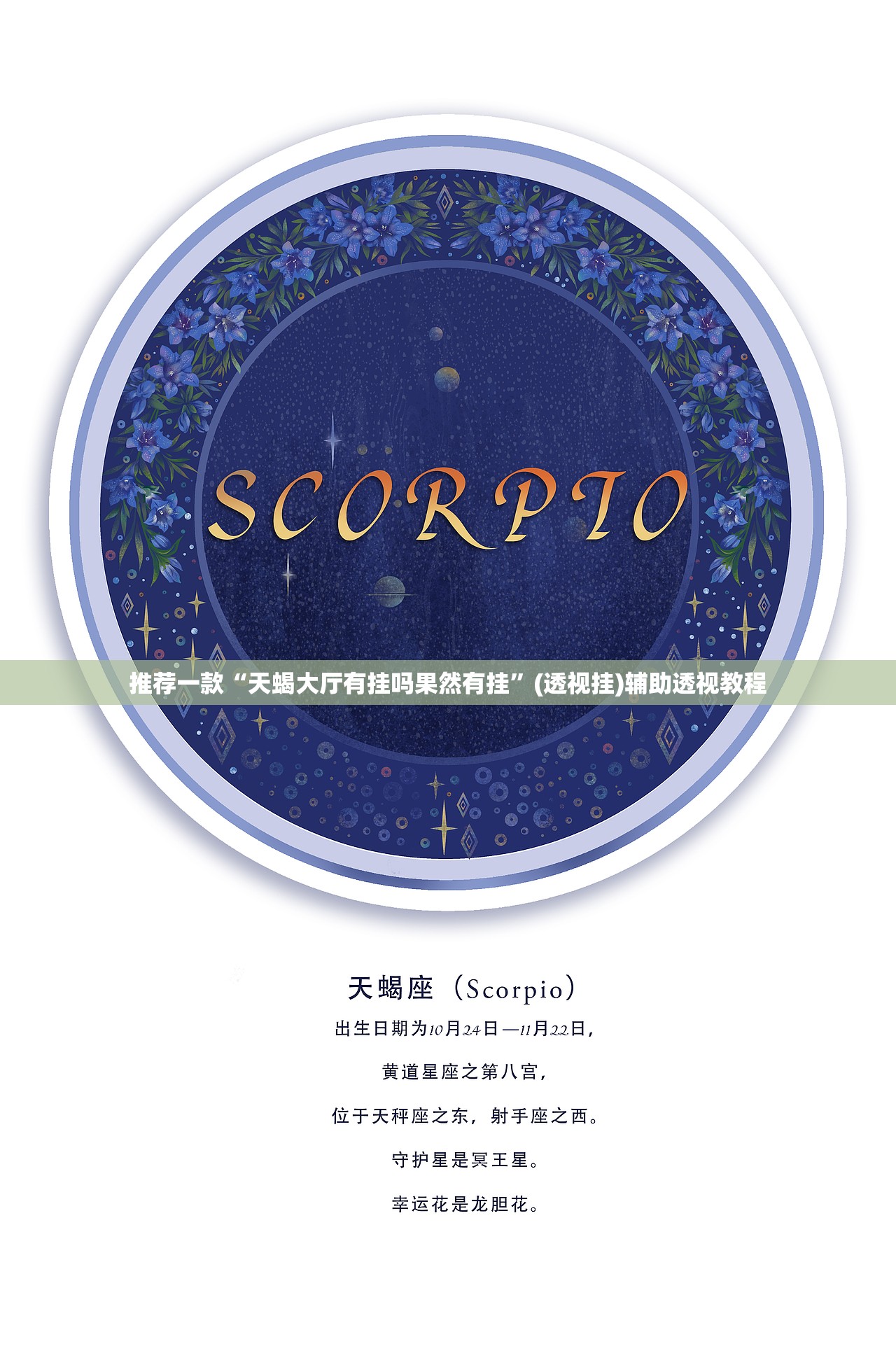 推荐一款“天蝎大厅有挂吗果然有挂”(透视挂)辅助透视教程