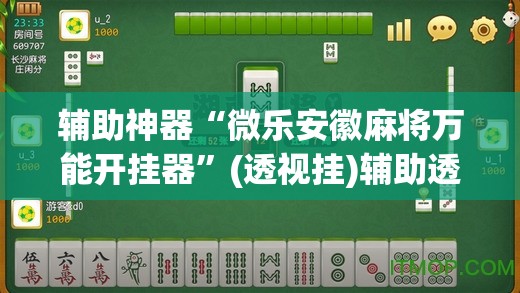 辅助神器“微乐安徽麻将万能开挂器”(透视挂)辅助透视教程