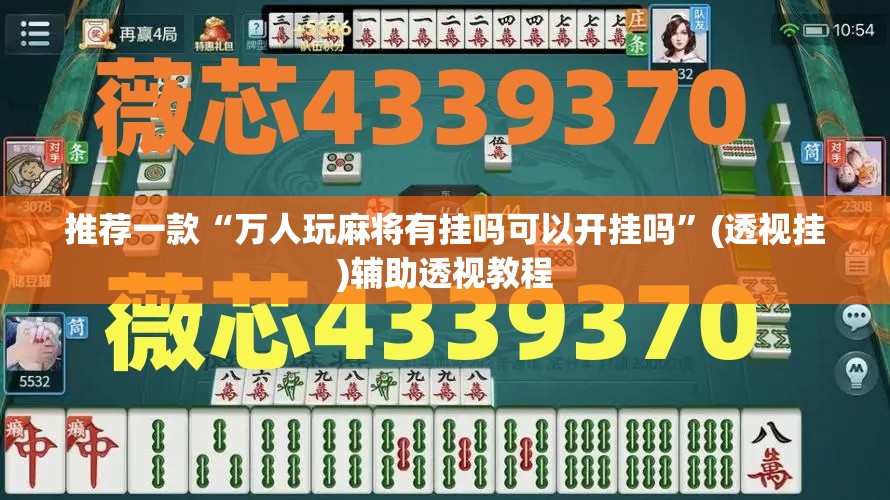 推荐一款“万人玩麻将有挂吗可以开挂吗”(透视挂)辅助透视教程