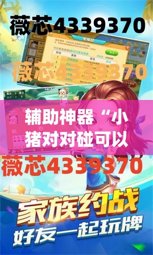 辅助神器“小猪对对碰可以开挂吗”(透视挂)辅助透视教程