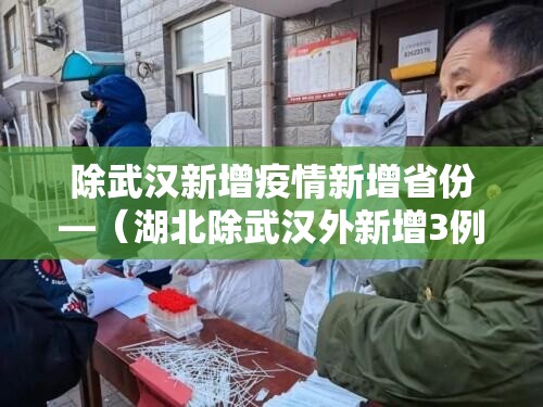 除武汉新增疫情新增省份—(湖北除武汉外新增3例3月1日) 除武汉新增疫情新增省份—(湖北除武汉外新增3例3月1日)