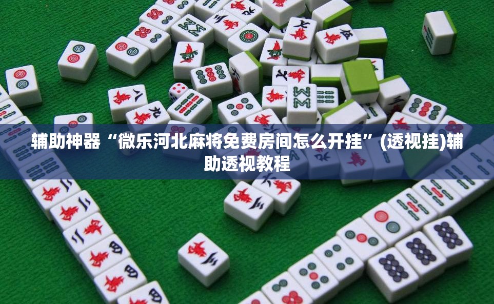 辅助神器“微乐河北麻将免费房间怎么开挂”(透视挂)辅助透视教程