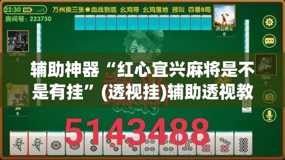 辅助神器“红心宜兴麻将是不是有挂”(透视挂)辅助透视教程