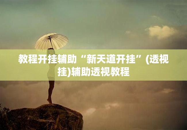 教程开挂辅助“新天道开挂”(透视挂)辅助透视教程