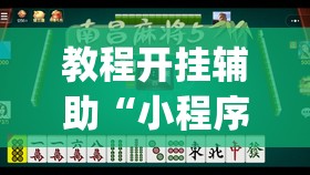 教程开挂辅助“小程序微乐浙江麻将有没有挂”(透视挂)辅助透视教程