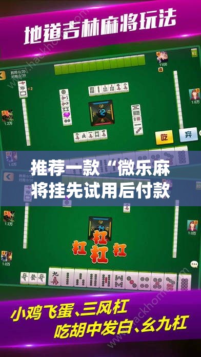 推荐一款“微乐麻将挂先试用后付款”(透视挂)辅助透视教程