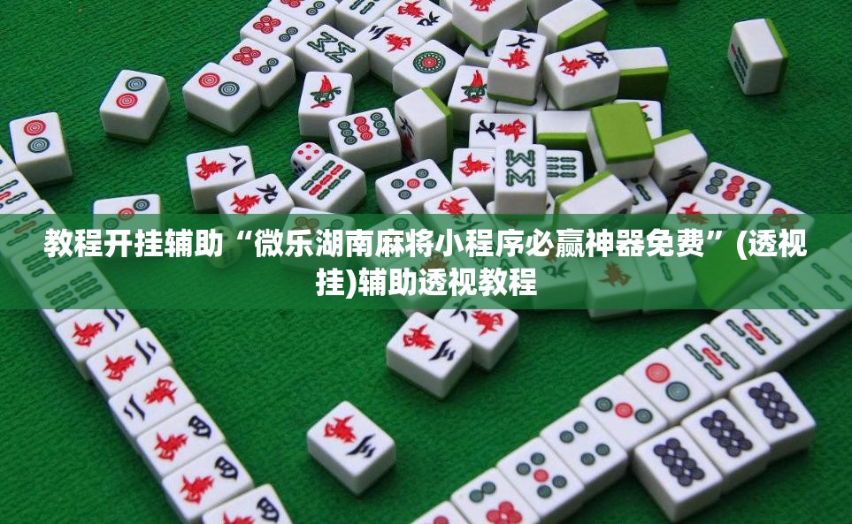 教程开挂辅助“微乐湖南麻将小程序必赢神器免费”(透视挂)辅助透视教程