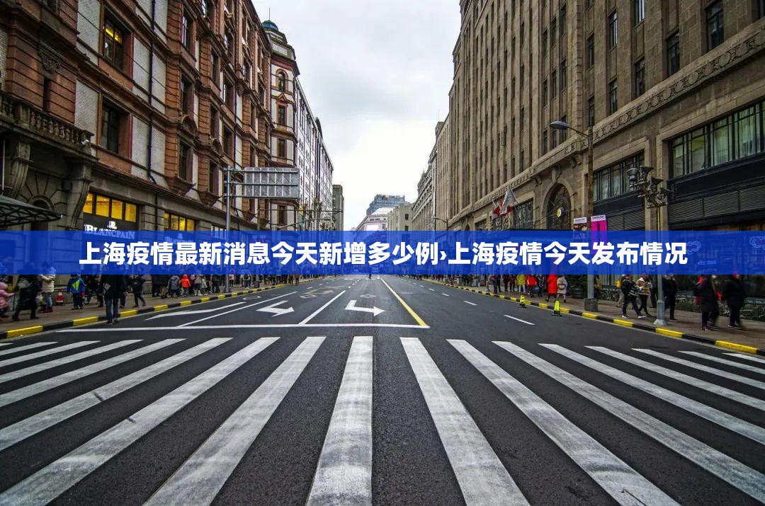 上海疫情最新消息今天新增多少例›上海疫情今天发布情况