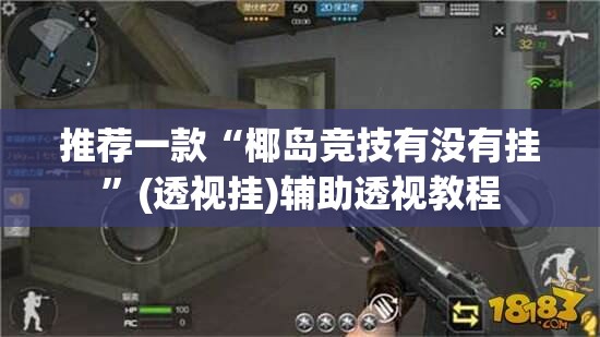 推荐一款“椰岛竞技有没有挂”(透视挂)辅助透视教程