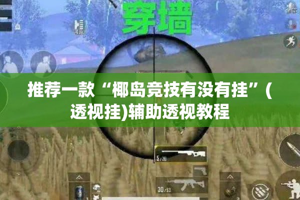 推荐一款“椰岛竞技有没有挂	”(透视挂)辅助透视教程