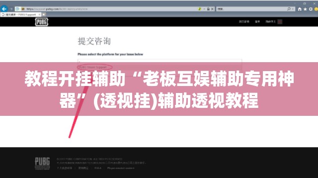 教程开挂辅助“老板互娱辅助专用神器”(透视挂)辅助透视教程