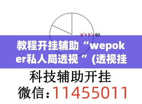 教程开挂辅助“wepoker私人局透视 	”(透视挂)辅助透视教程