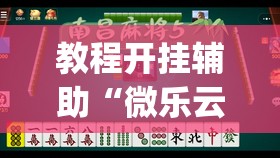 教程开挂辅助“微乐云南麻将到底有挂吗”(透视挂)辅助透视教程