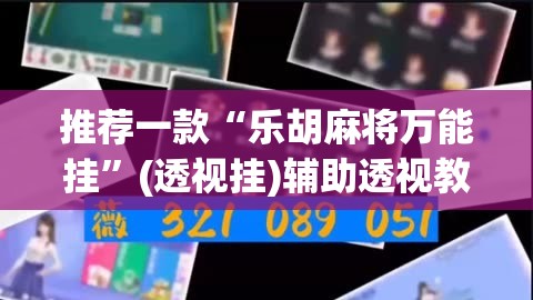 推荐一款“乐胡麻将万能挂”(透视挂)辅助透视教程