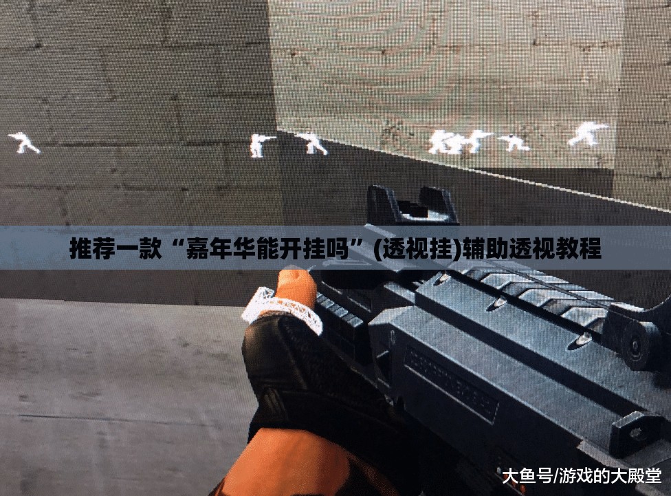 推荐一款“嘉年华能开挂吗	”(透视挂)辅助透视教程