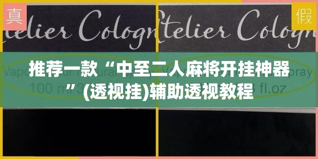 推荐一款“中至二人麻将开挂神器”(透视挂)辅助透视教程