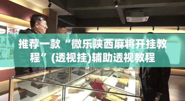 推荐一款“微乐陕西麻将开挂教程	”(透视挂)辅助透视教程
