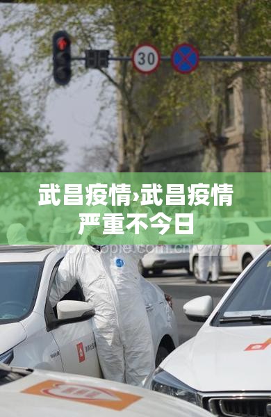 武昌疫情›武昌疫情严重不今日 武昌疫情›武昌疫情严重不今日